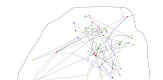 Marche et Rêve (1/2) : Qu’ai-je appris de Paris ? marche et rêve