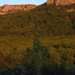 ECHO-IN Jean-Marc L'HOTEL