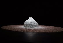 Crinoline… le retour crinoline