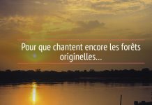 Première présentation en public biennale 1.618