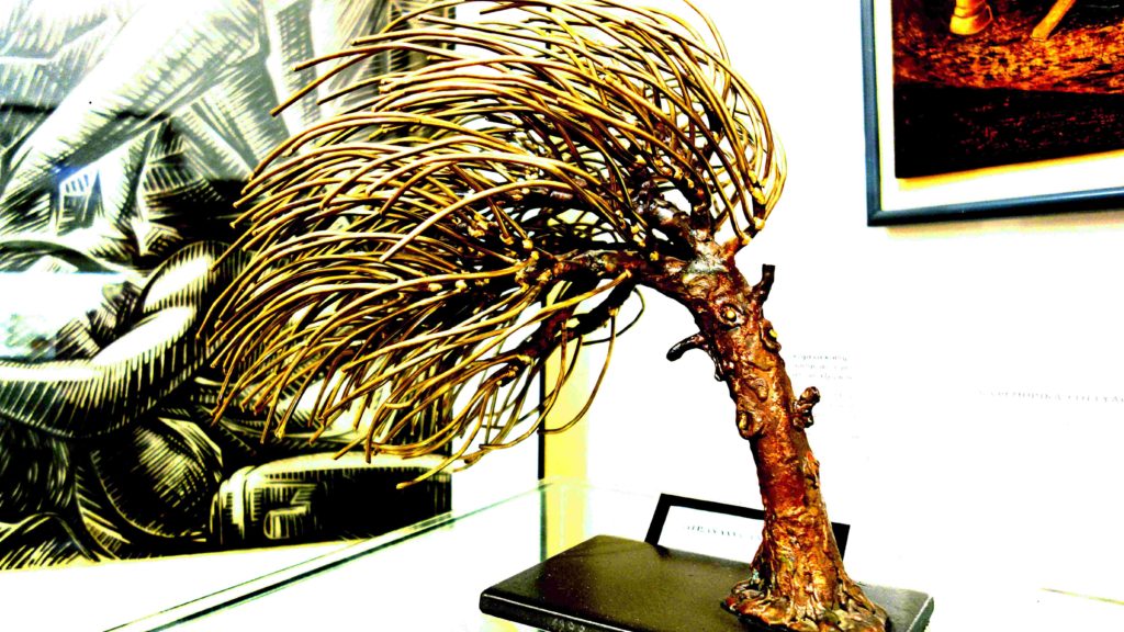 arbre remarquable Makronissos