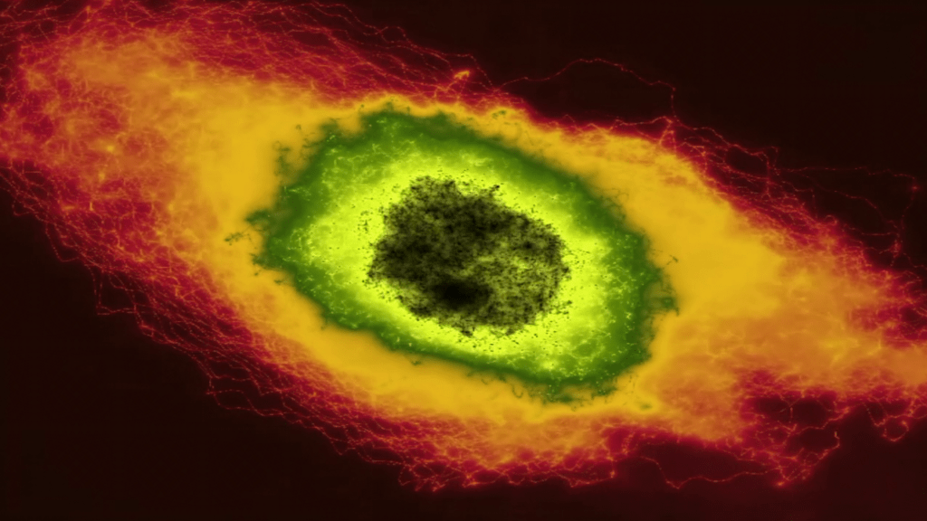 Les Mots des Poètes