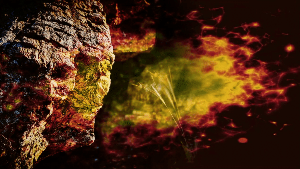 Les Mots des Poètes