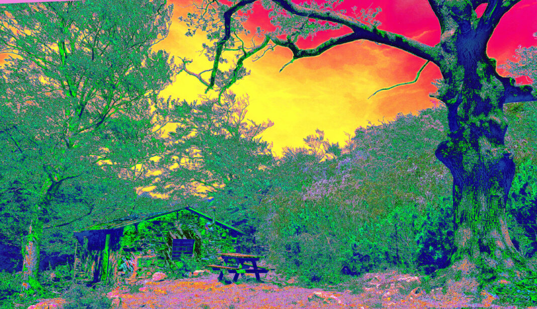 Arbres Bavards Mama San